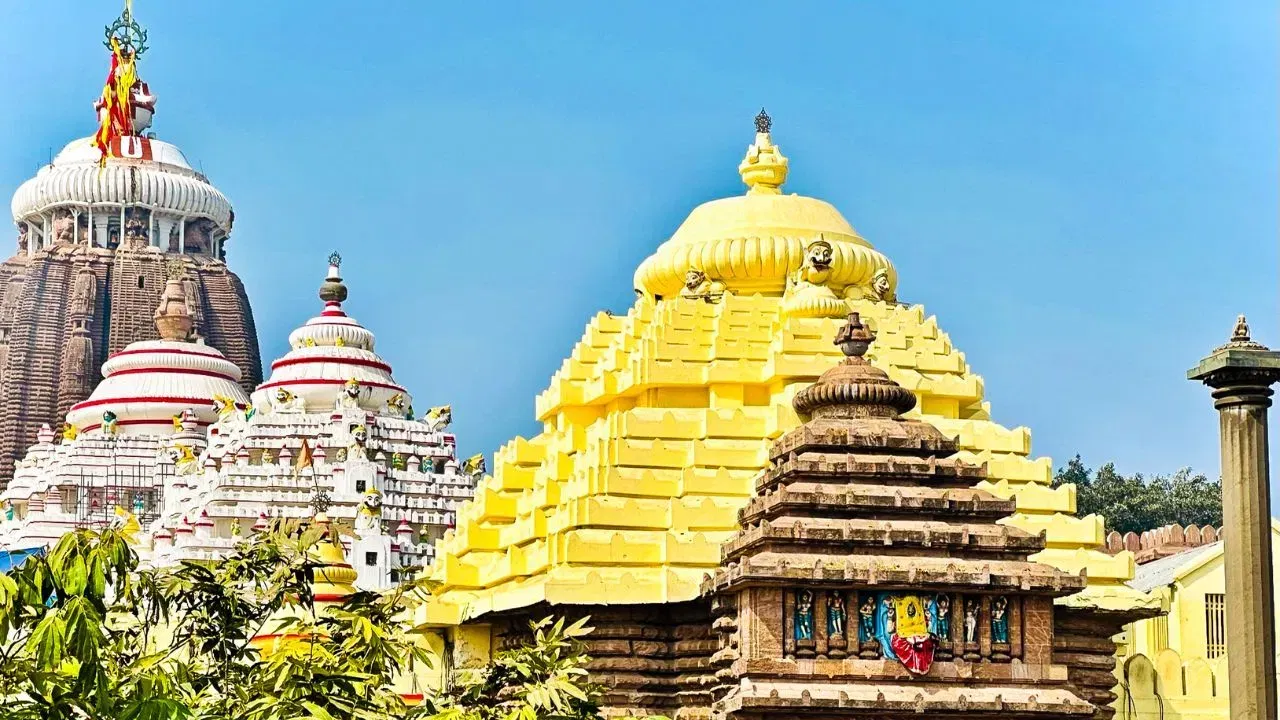 বিজ্ঞানীসকলৰ মতে মন্দিৰৰ উচ্চতা আৰু বিশাল গঠনৰ বাবে ইয়াৰ ওপৰৰ বায়ুৰ প্ৰবাহ ইমানেই তীব্ৰ আৰু জটিল (‘কৰ্মন ভৰটেক্স ষ্ট্ৰীট’ৰ পৰিঘটনাৰ দৰে) যে চৰাইৰ বাবে ভাৰসাম্য ৰক্ষা কৰা আৰু ইমান উচ্চতাত উৰিবলৈ কঠিন হৈ পৰে।