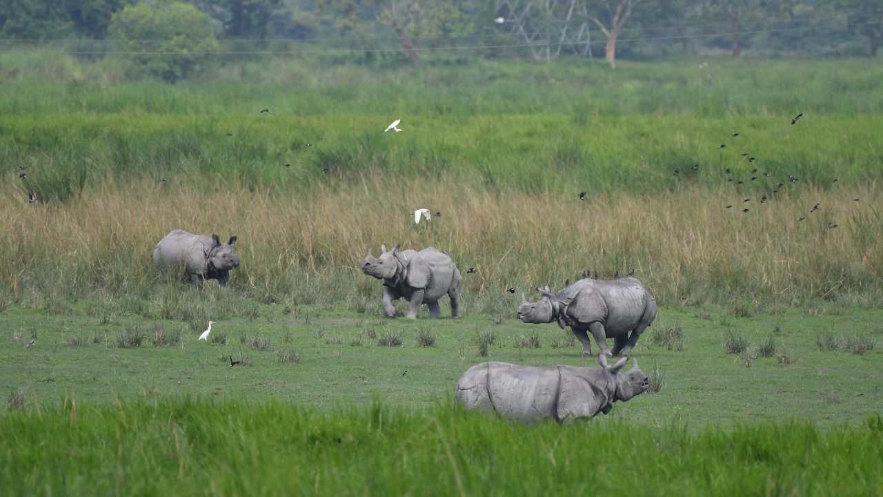 কাজিৰঙাৰ সীমা সম্প্ৰসাৰণত অনুমোদন ৰাজ্যৰ, নতুনকৈ সংযোজন হ’ব ৪৭ হাজাৰো অধিক হেক্টৰ ভূমি… কাজিৰঙাৰ সীমা সম্প্ৰসাৰণত অনুমোদন ৰাজ্যৰ, নতুনকৈ সংযোজন হ’ব ৪৭ হাজাৰো অধিক হেক্টৰ ভূমি…