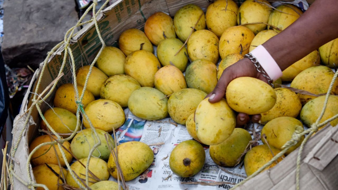 পঞ্চম কাৰণঃ ভাৰতীয় আমৰ ৰপ্তানিয়ে দেশৰ অৰ্থনীতিৰ প্ৰত্যক্ষ উপকাৰ সাধন কৰি আহিছে। ফাইনেন্সিয়েল এক্সপ্ৰেছৰ প্ৰতিবেদন অনুসৰি ২০২৪ চনত আমৰ ৰপ্তানি মূল্য ৬০.১৪ মিলিয়ন ডলাৰলৈ বৃদ্ধি পাইছে। ২০২১ বিত্তীয় বৰ্ষৰ তুলনাত ইয়াৰ ৰপ্তানি মূল্য ৬৬ শতাংশ বৃদ্ধি হৈছে।