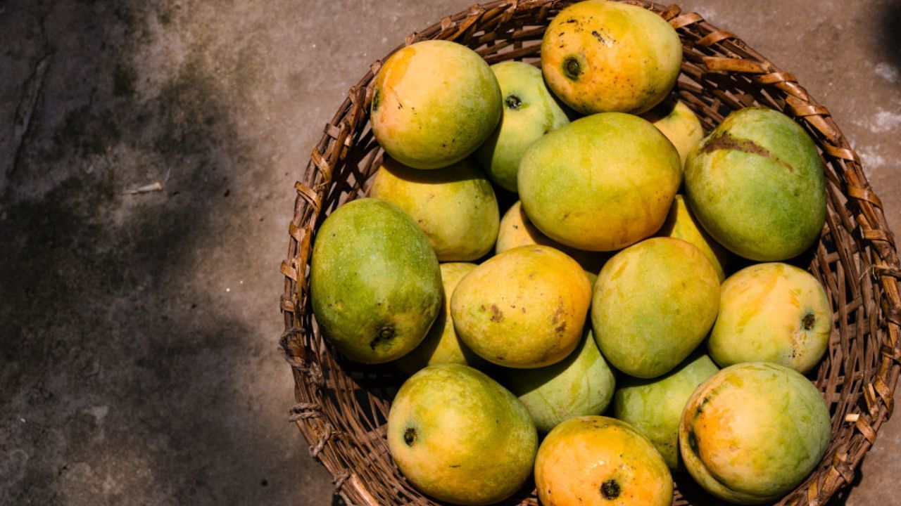Mango