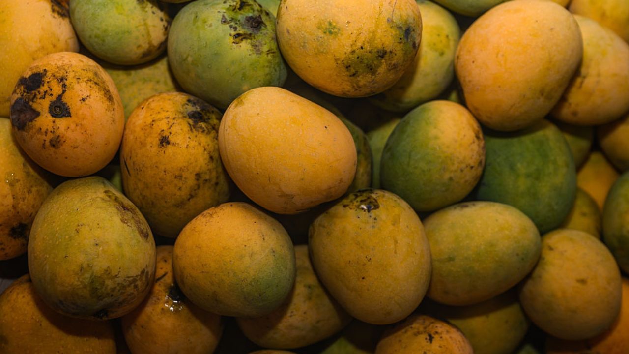 প্ৰথম কাৰণঃ ক্লিভলেণ্ড ক্লিনিক অৱ আমেৰিকাৰ প্ৰতিবেদনত কোৱা হৈছে, আম কেৱল সোৱাদৰ বাবেই জনাজাত নহয়। ইয়াৰ উপৰিও ইয়াত বহু ধৰণৰ ভিটামিন আৰু ধাতুৰ যৌগ থাকে যিবোৰ স্বাস্থ্যৰ বাবে অপৰিহাৰ্য। ইয়াত ভিটামিন এ, বি, চি, ই, কে, মেগনেছিয়াম, পটাছিয়াম আদি উপাদান থাকে।