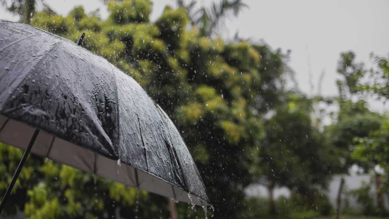 বাৰিষা কোনবোৰ ৰোগ বেছিকৈ হয়? এই ৰোগ প্ৰতিৰোধ কৰাৰ উপায় কি? জানক
