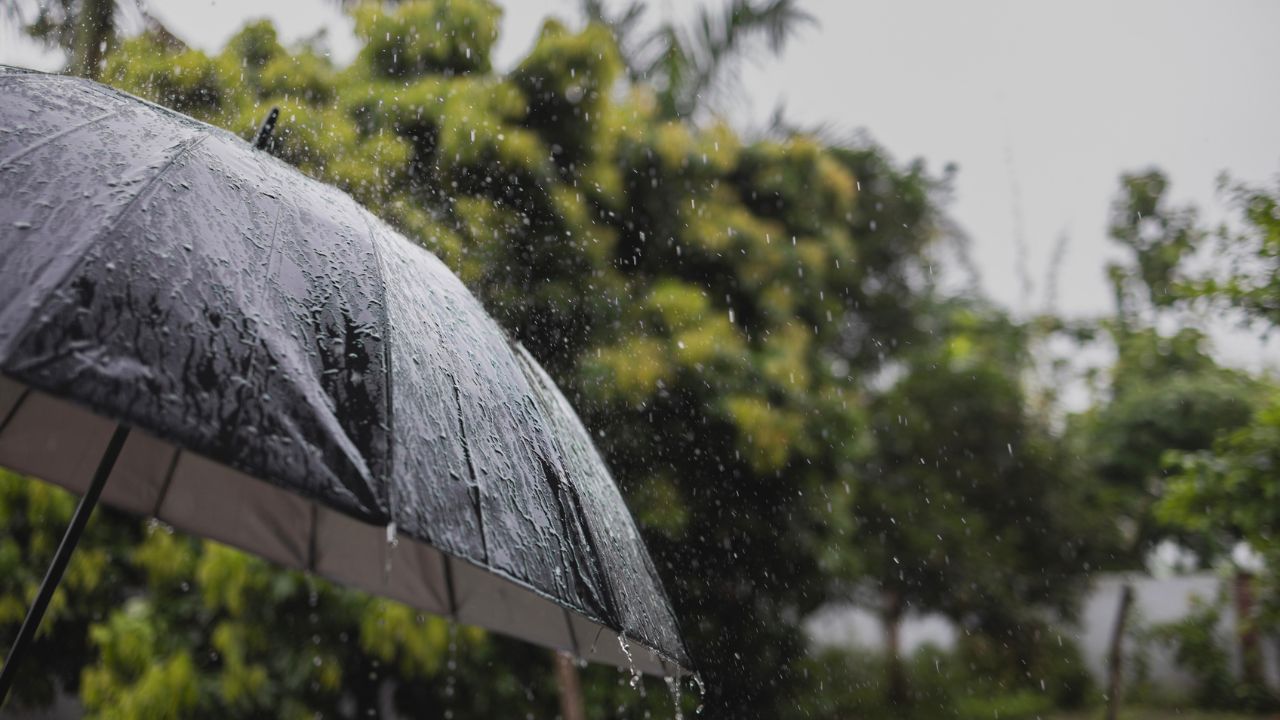 বাৰিষা কোনবোৰ ৰোগ বেছিকৈ হয়? এই ৰোগ প্ৰতিৰোধ কৰাৰ উপায় কি? জানক বাৰিষা কোনবোৰ ৰোগ বেছিকৈ হয়? এই ৰোগ প্ৰতিৰোধ কৰাৰ উপায় কি? জানক