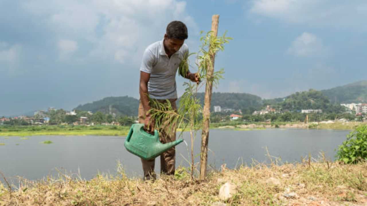 ৰোপনতেই দায়িত্ব শেষ নহয়, প্ৰতিপালো দৰকাৰ, আপুনি ৰোৱা গছ পুলিটো পাহৰি নাযাব