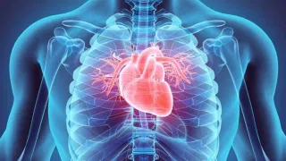 Heart Attack: হাৰ্ট এটেকৰ প্ৰাৰম্ভিক লক্ষণসমূহ কি কি? ইয়াৰ কাৰণ আৰু প্ৰতিকাৰৰ উপায় জানক…