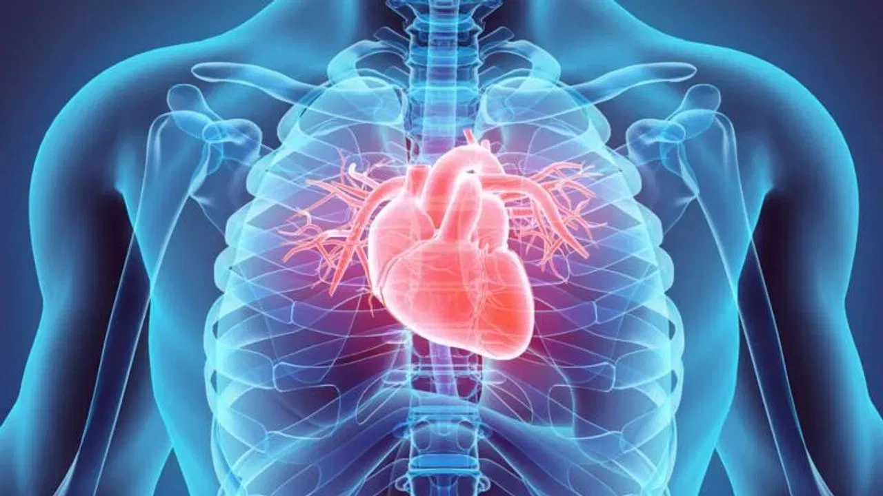 Heart Attack: হাৰ্ট এটেকৰ প্ৰাৰম্ভিক লক্ষণসমূহ কি কি? ইয়াৰ কাৰণ আৰু প্ৰতিকাৰৰ উপায় জানক… Heart Attack: হাৰ্ট এটেকৰ প্ৰাৰম্ভিক লক্ষণসমূহ কি কি? ইয়াৰ কাৰণ আৰু প্ৰতিকাৰৰ উপায় জানক…