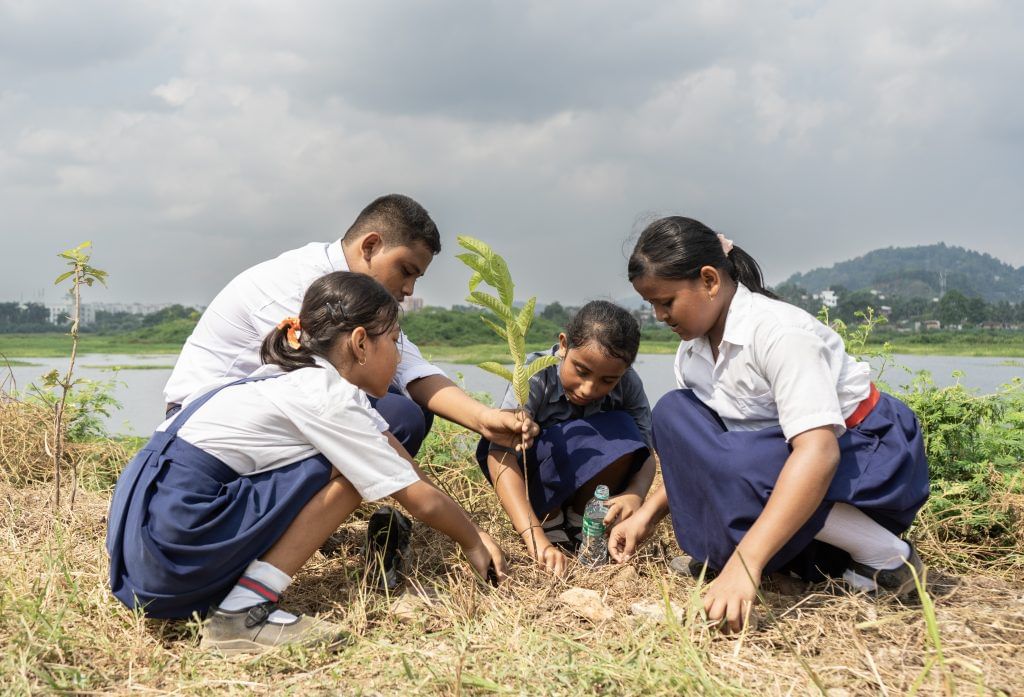 Ten Million Tree Plantation Drive In Assam, India