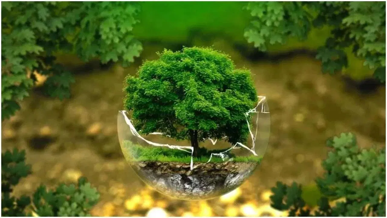 World Environment Day 2025: বিশ্ব পৰিৱেশ দিৱসত এইদৰে দিয়ক ভাষণ, সকলোৱে কৰিব আপোনাৰ প্ৰশংসা