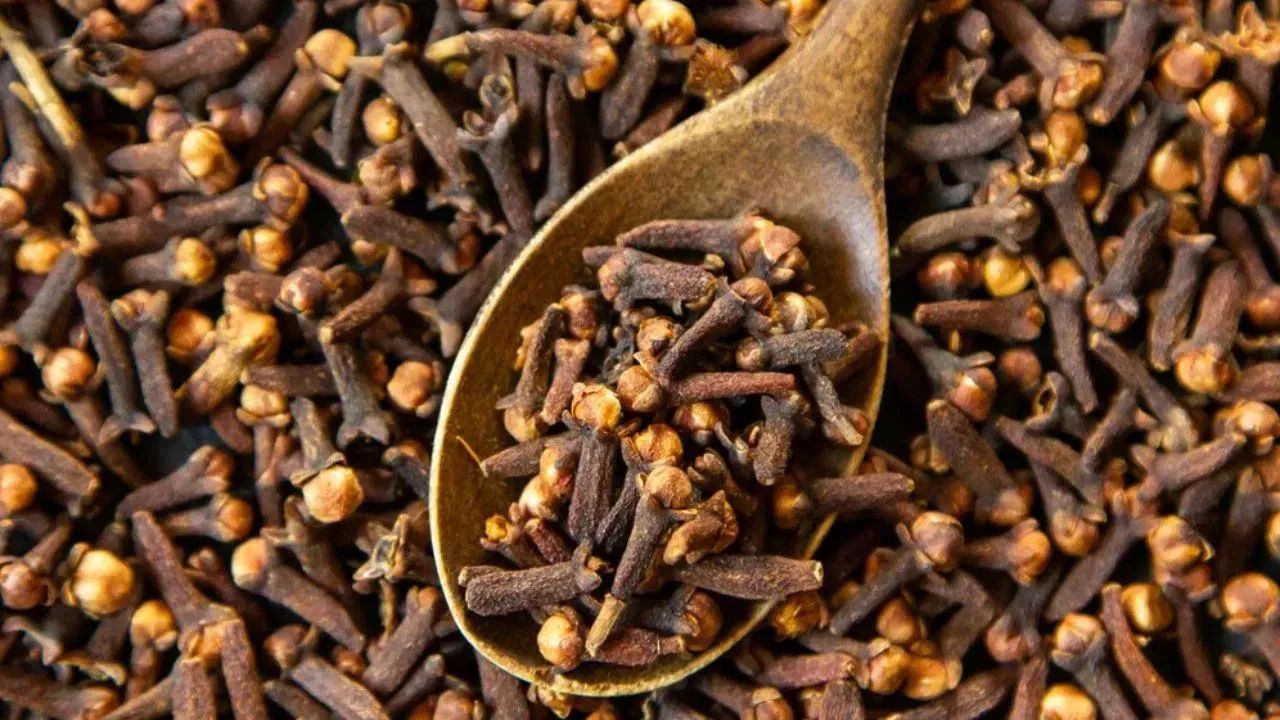 আপোনাৰো আছে নেকি লং মুখত ভৰাই থোৱাৰ অভ্যাস? দেহত কি হ’ব পাৰে জানেনে? আপোনাৰো আছে নেকি লং মুখত ভৰাই থোৱাৰ অভ্যাস? দেহত কি হ’ব পাৰে জানেনে?