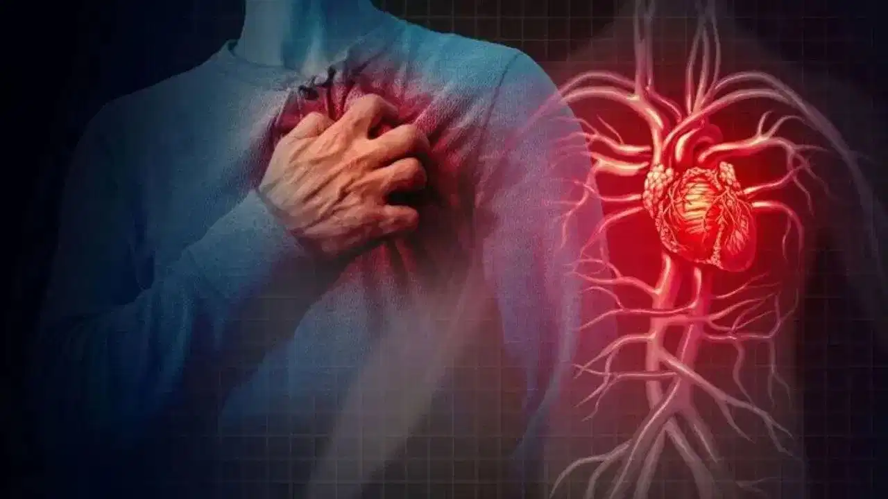 Heart Blockage : হাৰ্ট ব্লক হোৱাৰ প্ৰধান লক্ষণসমূহ কি কি? চিকিৎসকৰ পৰা সবিশেষ জানক...