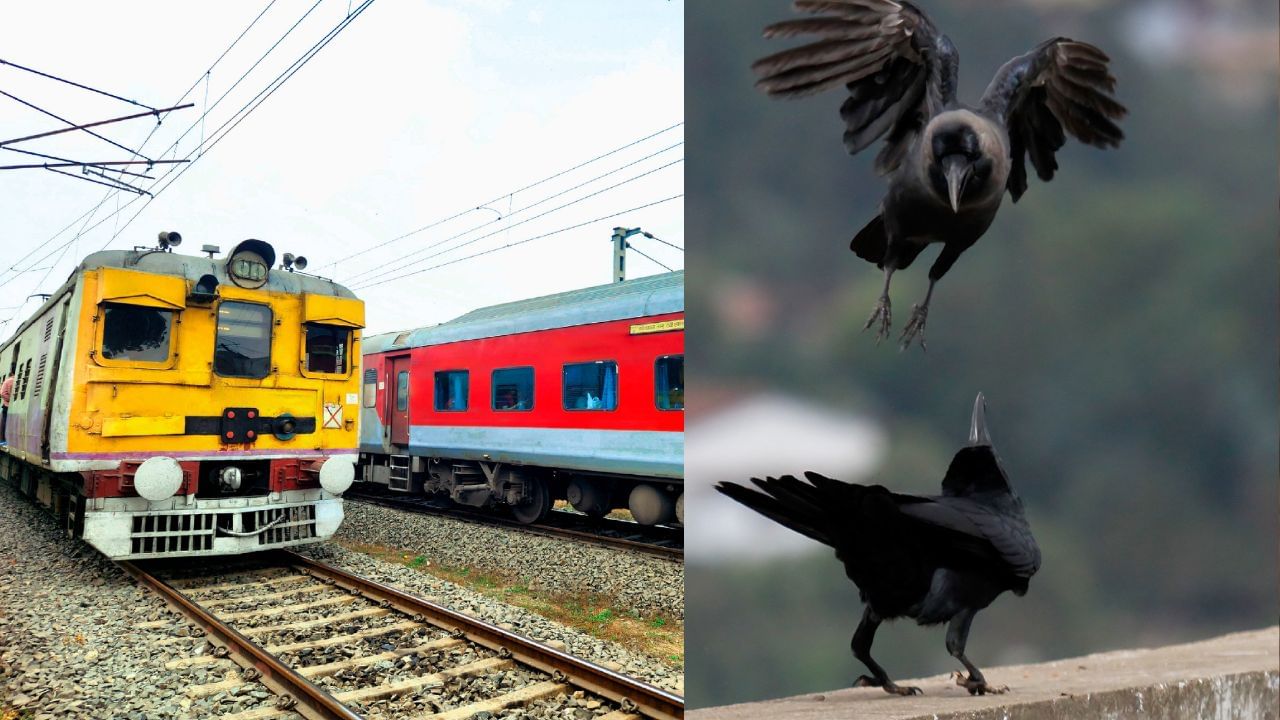 Indian Railways: দুটা কাউৰীৰ মাজত তীব্ৰ কাজিয়া, ফলত ৪ ঘণ্টা ধৰি আবদ্ধ এক্সপ্ৰেছ ৰে’ল ! যাত্ৰীৰ মাজত হাহাকাৰ… Indian Railways: দুটা কাউৰীৰ মাজত তীব্ৰ কাজিয়া, ফলত ৪ ঘণ্টা ধৰি আবদ্ধ এক্সপ্ৰেছ ৰে’ল ! যাত্ৰীৰ মাজত হাহাকাৰ…