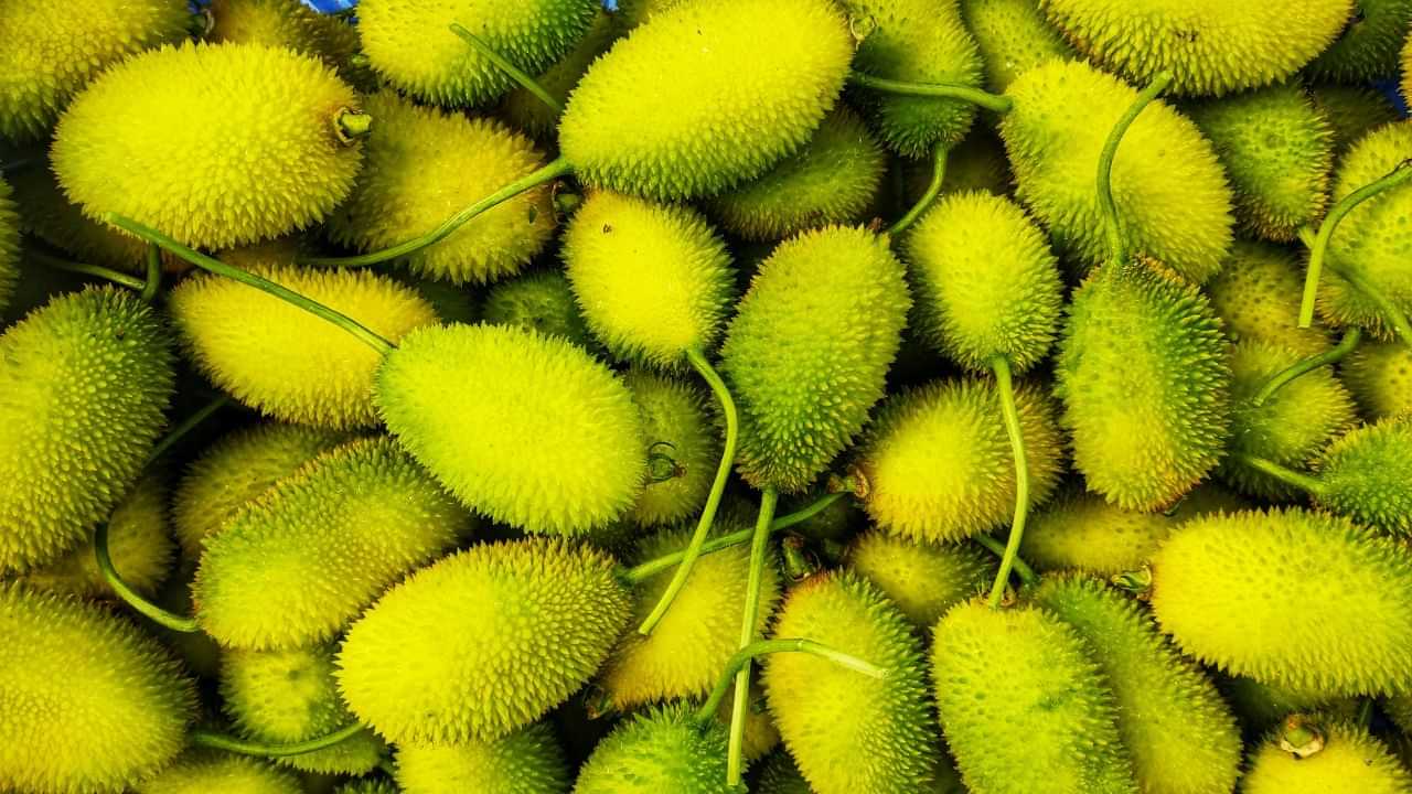 ভাত কেৰেলাৰ এই গুণৰ কথা জানেনে আপুনি? নৱবিবাহিত দম্পতীৰ বাবে হৈ পৰে আকালৰ ধন...