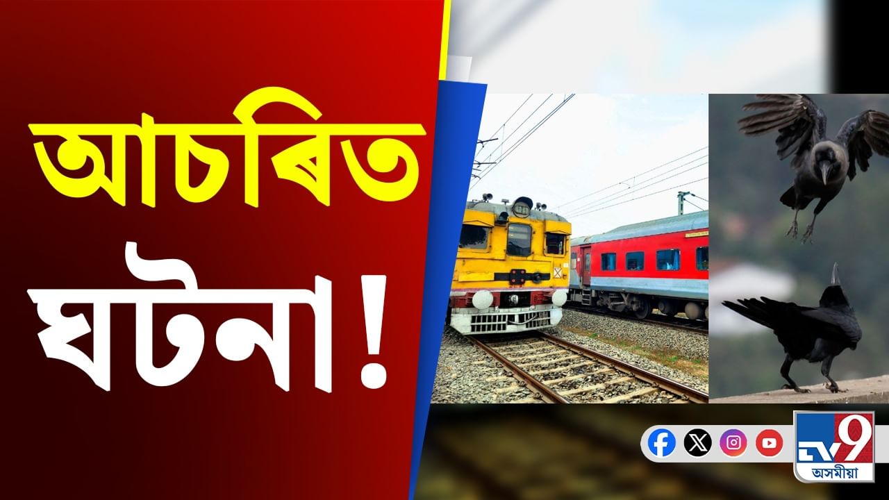 Bihar, Janki Express Delayed: দুটা কাউৰীৰ কাজিয়াৰ ফলত ৪ ঘণ্টা ধৰি আবদ্ধ এক্সপ্ৰেছ ৰে’ল !