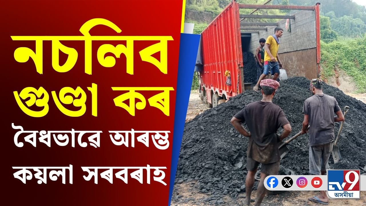 বৈধভাৱে আৰম্ভ কয়লাৰ ব্যৱসায়! আনন্দিত ব্যৱসায়ী...