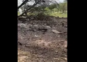 Crash