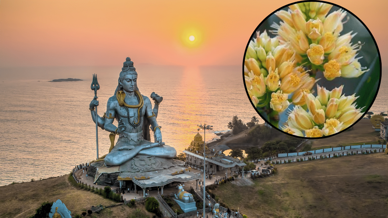 হিন্দু পঞ্জিকা অনুসৰি ১১ জুলাইৰ পৰা আৰম্ভ হৈছে শাওণ মাহ। অসমীয়া কেলেণ্ডাৰ অনুসৰি, ১৮ জুলাইৰ পৰা শাওণ মাহ আৰম্ভ হ'ব। ইতিমধ্যে ১৪ জুলাই পৰা আৰম্ভ হৈছে ব'লব'ম। ধৰ্মীয় মান্যতা অনুসৰি, এই মাহত শিৱৰ পূজা কৰিলে ভাল ফল পোৱা যায়। কিন্তু কিছুমান বস্তু শিৱক অৰ্পন কৰিব নালাগে।