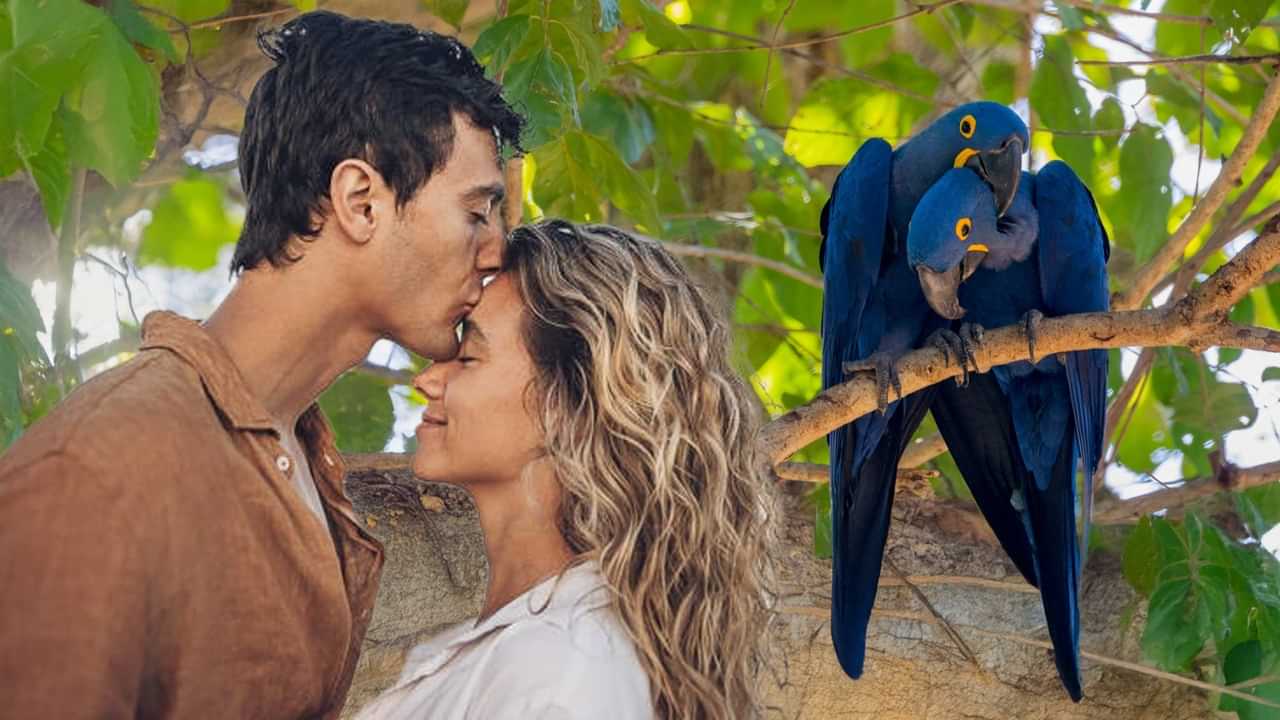 চুমা, যত লুকাই থাকে আদৰ-মৰম-বিশ্বাস...মানুহৰ দৰে এইবোৰ প্ৰাণীয়েও চুমাৰে বিনিময় কৰে মৰমৰ