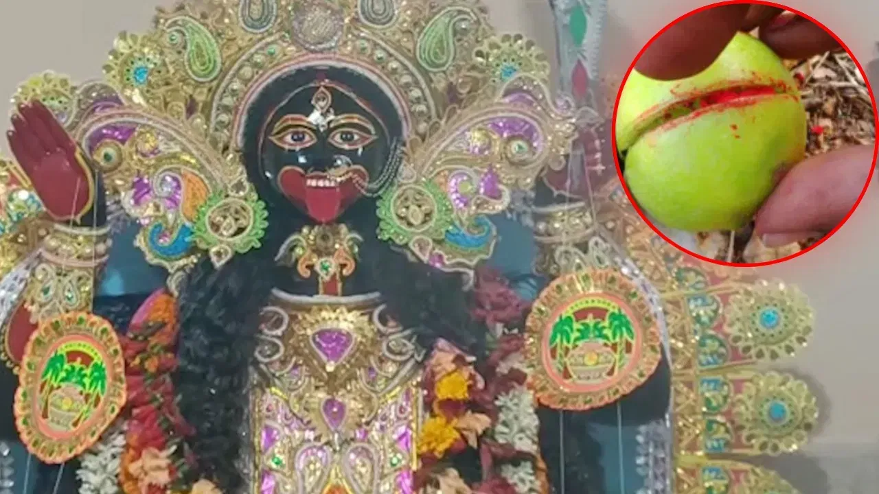 মা কালীৰ উপাসনা কৰিলে নাশ হয় শত্ৰু, কৰক এই উপায় মা কালীৰ উপাসনা কৰিলে নাশ হয় শত্ৰু, কৰক এই উপায়