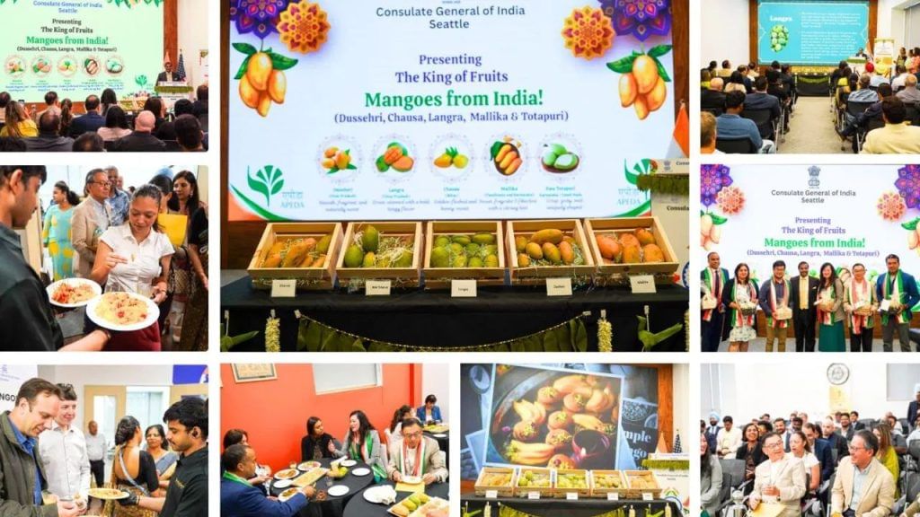 Mango