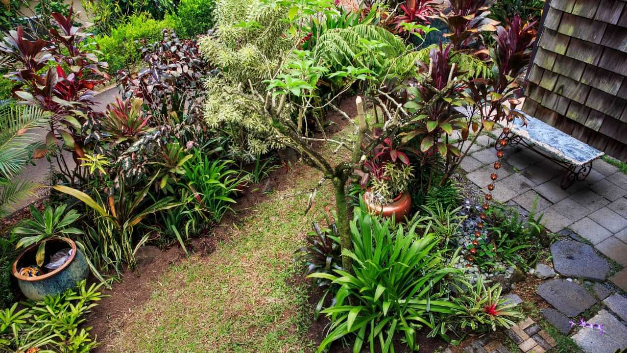 ঘৰখনত সুখ-সমৃদ্ধি উপচি পৰাটো বিচাৰেনে? ঘৰৰ ভিতৰত ৰোপণ কৰক এইকেইবিধ উদ্ভিদ