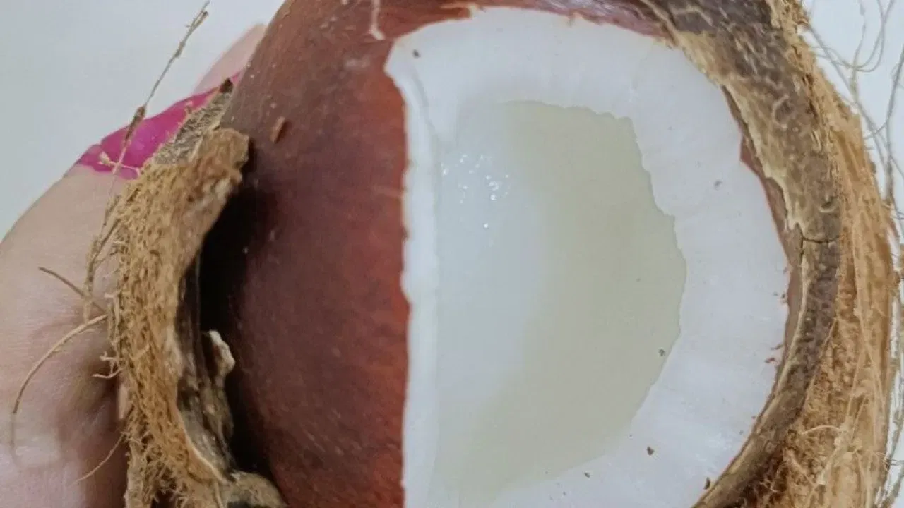 ভুলতেও শাওণ মাহত শিৱলিংগত নাৰিকল পানী আগবঢ়াব নালাগে। নাৰিকল বা নাৰিকল পানী আগবঢ়ালে দোষৰ সৃষ্টি হ’ব পাৰে। সেইবাবেই পূজাত নাৰিকল ব্যৱহাৰ নকৰিব।