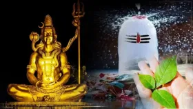 ভগৱান শিৱৰ পূজাত বেলপাতৰ মহত্ব কিমান? কিয় মহাদেৱৰ আটাইতকৈ প্ৰিয় বেলপাত? সবিশেষ জানক…