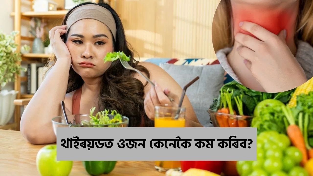 থাইৰয়ডত কিয় বৃদ্ধি হয় শৰীৰৰ ওজন? ইয়াক লক্ষণ, কাৰণ আৰু হ্ৰাস কৰাৰ উপায় চিকিৎসকৰ পৰা জানক… থাইৰয়ডত কিয় বৃদ্ধি হয় শৰীৰৰ ওজন? ইয়াক লক্ষণ, কাৰণ আৰু হ্ৰাস কৰাৰ উপায় চিকিৎসকৰ পৰা জানক…