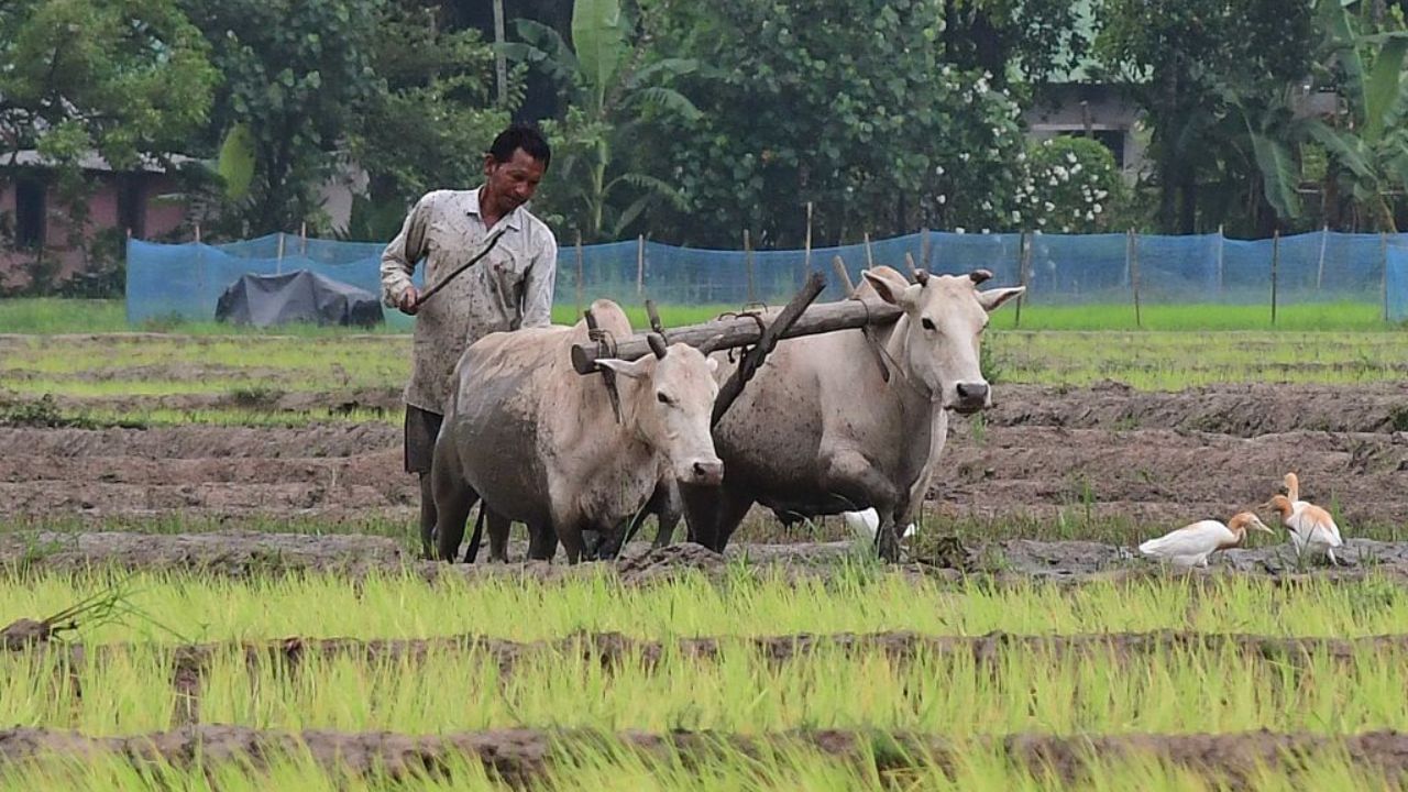 খৰাঙত ক্ষতিগ্ৰস্ত কৃষকসকলক জৰুৰী সহায়ৰ নিৰ্দেশ অসম চৰকাৰৰ, পাব এইসমূহ সুবিধা…