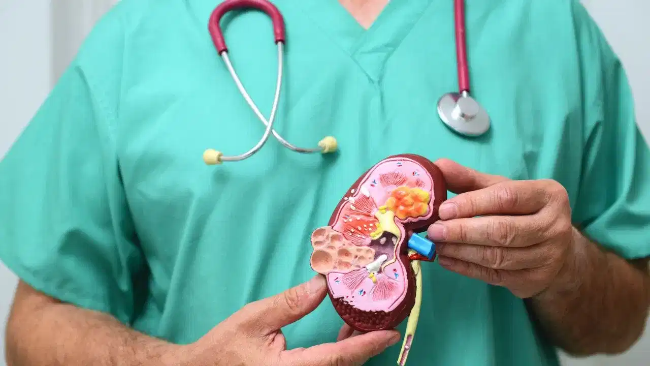 বৃক্ক বিকল হোৱাৰ প্ৰাৰম্ভিক লক্ষণসমূহ কি কি? চিকিৎসকৰ পৰা জানক...