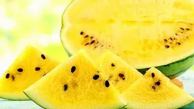 Yellow Watermelon: ৰঙা নে হালধীয়া! গৰমত কি ৰঙৰ তৰমুজ বেছি উপকাৰী জানক Yellow Watermelon: ৰঙা নে হালধীয়া! গৰমত কি ৰঙৰ তৰমুজ বেছি উপকাৰী জানক...