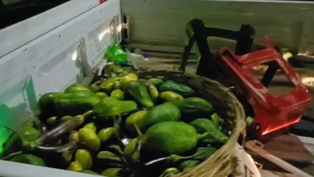 মাজনিশা গুৱাহাটী মহানগৰীৰ বিভিন্ন প্ৰান্তত GMCৰ উচ্ছেদ অভিযান চলিছে। পদপথ আৰু উৰণ সেঁতুৰ তলত অবৈধ ভাৱে দীৰ্ঘ দিনৰ পৰা দোকান দি অহা ব্যৱসায়িক প্ৰতিষ্ঠানত চলিল এই অভিযান।