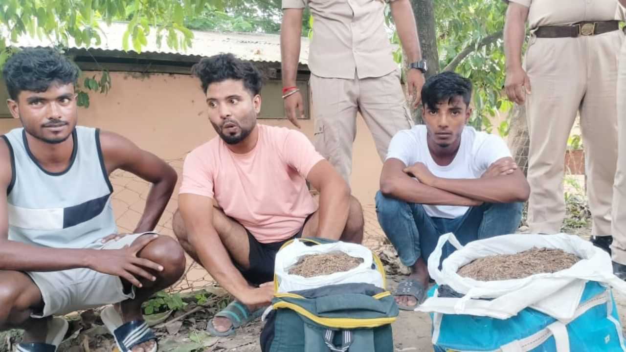 আৰক্ষীৰ সন্মুখতে সৰবৰাহ ! গুৱাহাটীত বৃহৎ পৰিমাণৰ গাঞ্জা জব্দ, তিনিজনক আটক...