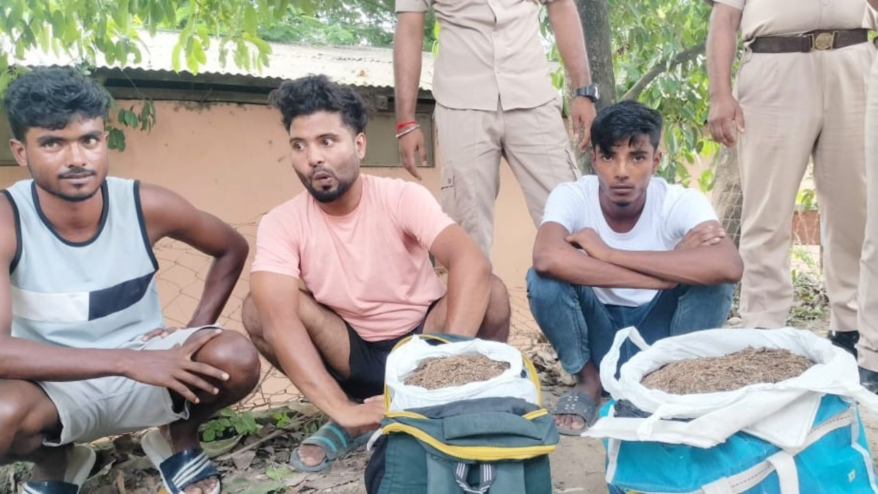 আৰক্ষীৰ সন্মুখতে সৰবৰাহ ! গুৱাহাটীত বৃহৎ পৰিমাণৰ গাঞ্জা জব্দ, তিনিজনক আটক…