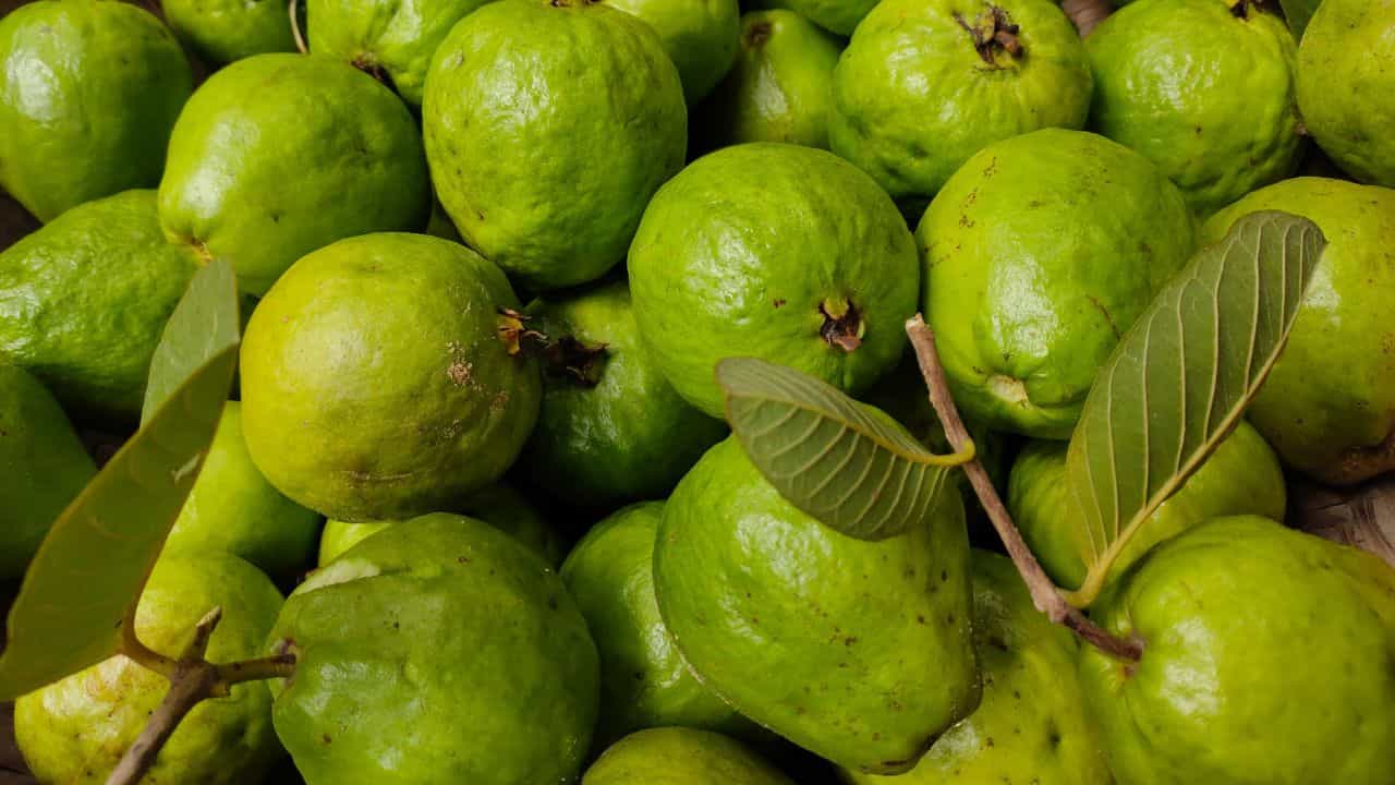 বাৰীৰ এই ‘সাধাৰণ’ ফল মধুৰীৰ আছে এনে ‘অসাধাৰণ’ গুণাগুণ, জানিলে আচৰিত হ’ব আপুনি বাৰীৰ এই ‘সাধাৰণ’ ফল মধুৰীৰ আছে এনে ‘অসাধাৰণ’ গুণাগুণ, জানিলে আচৰিত হ’ব আপুনি