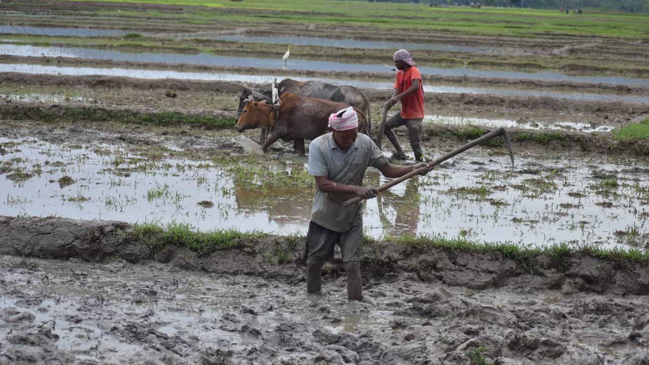 কৃষকৰ বাবে ভাল খবৰ, পকেটৰ পৰা এটকাও নিদিয়াকৈ বছৰি ৩৬,০০০ টকা পেঞ্চন! এই আঁচনিৰ সবিশেষ জানক... কৃষকৰ বাবে ভাল খবৰ, পকেটৰ পৰা এটকাও নিদিয়াকৈ বছৰি ৩৬,০০০ টকা পেঞ্চন! এই আঁচনিৰ সবিশেষ জানক...