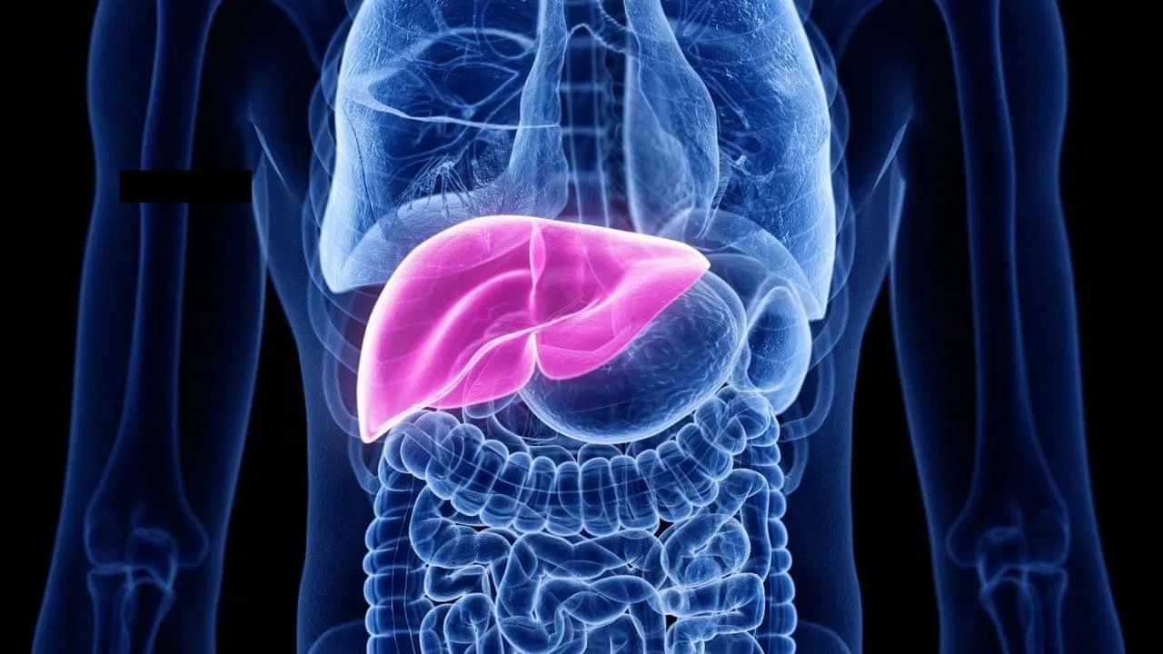 Liver Inflammation: যকৃত কিয় ফুলে? ইয়াৰ প্ৰাৰম্ভিক লক্ষণ, প্ৰতিকাৰৰ উপায় জানক...