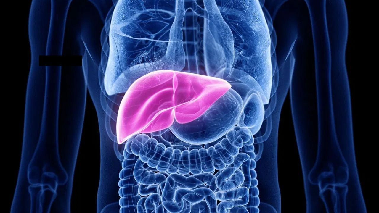 Liver Inflammation: যকৃত কিয় ফুলে? ইয়াৰ প্ৰাৰম্ভিক লক্ষণ, প্ৰতিকাৰৰ উপায় জানক… Liver Inflammation: যকৃত কিয় ফুলে? ইয়াৰ প্ৰাৰম্ভিক লক্ষণ, প্ৰতিকাৰৰ উপায় জানক…