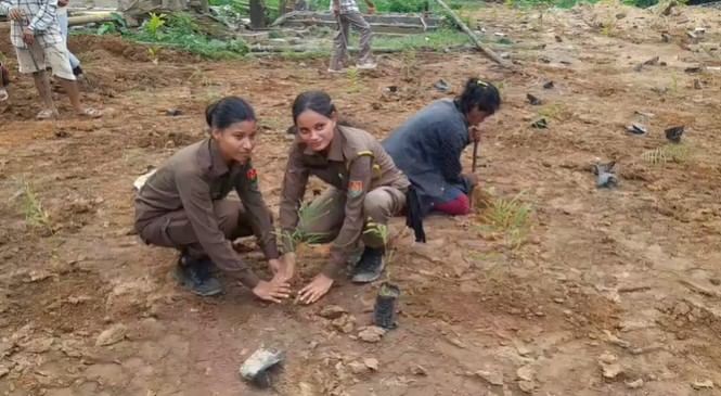 ৩ লাখ গছপুলি ৰোপনৰ লক্ষ্য নিৰ্ধাৰণ কৰা হৈছে ৷ এই গছপুলি ৰোপণৰ জৰিয়তে অঞ্চলটোত হাতী মানুহৰ সংঘাত ৰোধ কৰাৰ লগতে অঞ্চলটো সেউজীয়া কৰি প্ৰদুষণমুক্ত অঞ্চল হিচাবে গঢ়ি তুলিব বন বিভাগে।