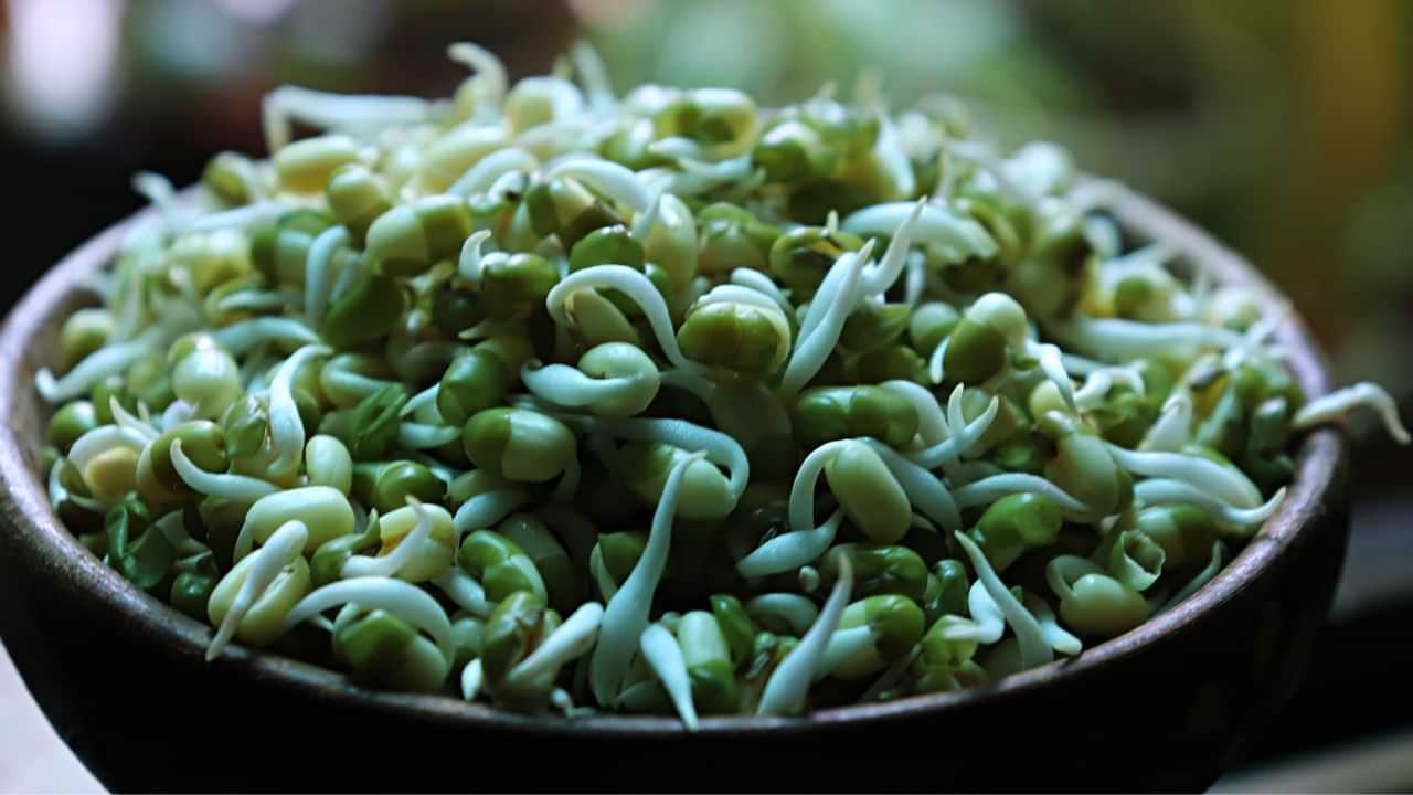 গজালি ওলোৱা মগুৰ এনে যাদুকৰী গুণৰ কথা জানেনে? নাজানে যদি এতিয়াই চাওক, হ’ব উপকৃত