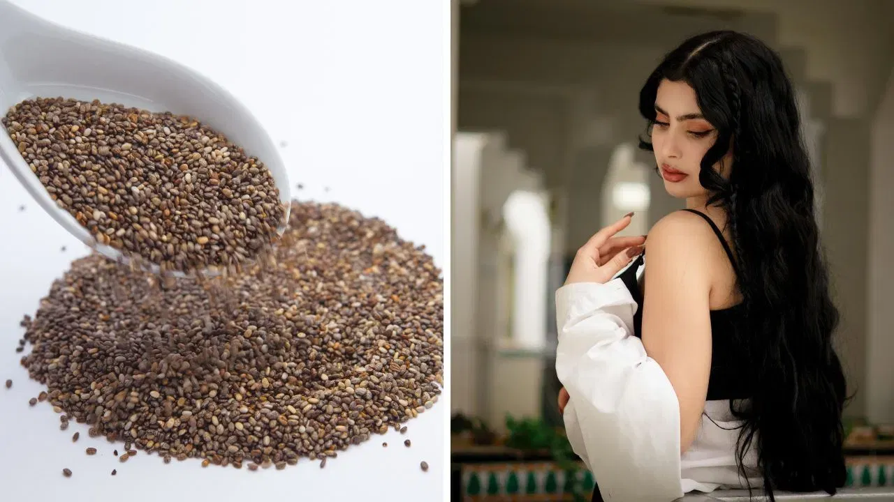 চুলি সৰাৰ সমস্যা হ’ব দূৰ.. মাথোঁ ব্যৱহাৰ কৰক Chia Seeds, আনিব জিলিকনি!