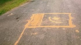 স্বাধীনতা দিৱসৰ প্ৰাক ক্ষণত চাপৰত পাকিস্তানৰ পতাকা সদৃশ ছবি অংকন