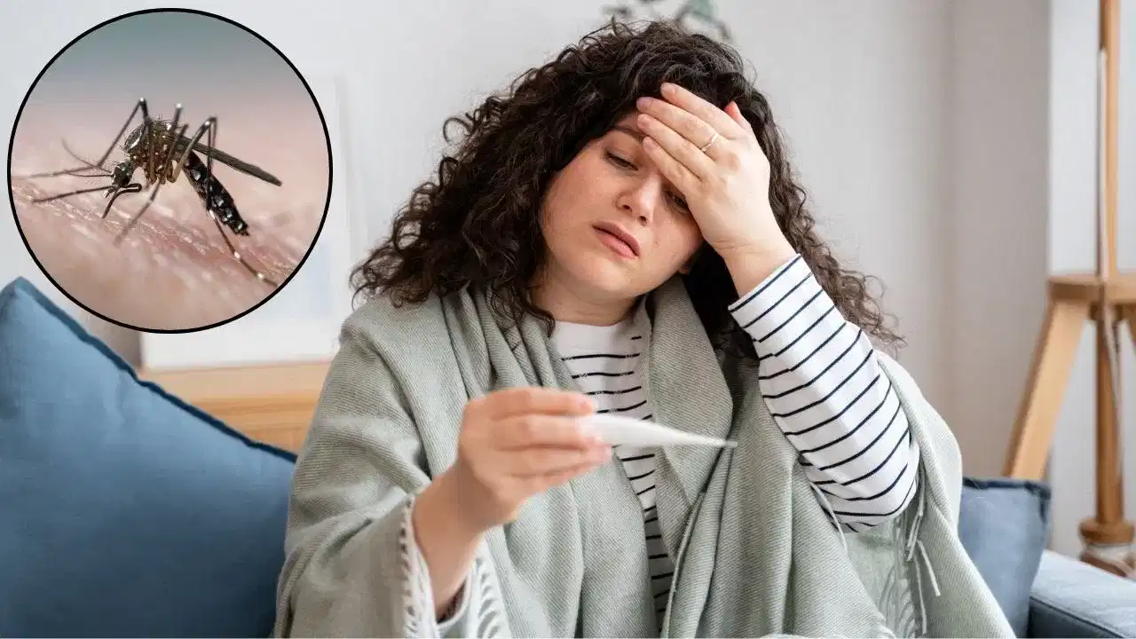 ডেংগুৰ ৩টা সাধাৰণ লক্ষণ কি কি জানেনে? জানক বিশেষজ্ঞৰ পৰা... ডেংগুৰ ৩টা সাধাৰণ লক্ষণ কি কি জানেনে? জানক বিশেষজ্ঞৰ পৰা...