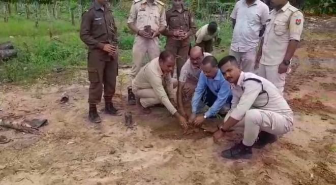 উক্ত বেদখলমুক্ত অঞ্চলত বন বিভাগে আৰম্ভ কৰিছে গছপুলি ৰোপণ। ১৩৮ হেক্টৰ ভূমিতে গছপুলি ৰোপণৰ কাম আৰম্ভ কৰা হৈছে ৷