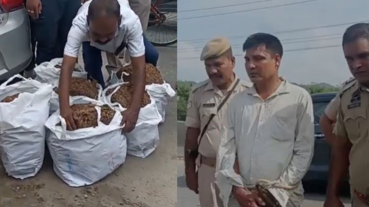 বৃহৎ গাঞ্জা সৰবৰাহৰ প্রচেষ্টা বিফল, আৰক্ষীৰ জালত প্ৰাক্তন NDFB ৰ সদস্য… বৃহৎ গাঞ্জা সৰবৰাহৰ প্রচেষ্টা বিফল, আৰক্ষীৰ জালত প্ৰাক্তন NDFB ৰ সদস্য…