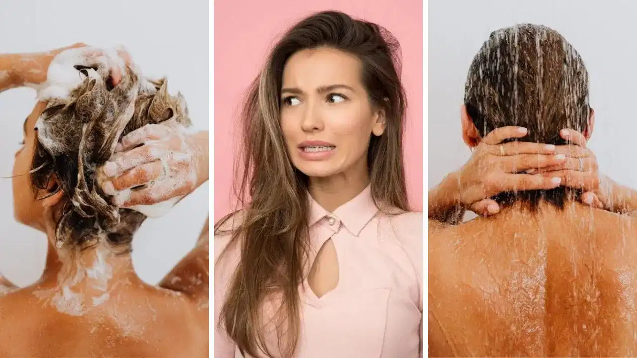 শ্বেম্পু কৰাৰ সময়ত নকৰিব এই ভুল! চুলি সৰাৰ হব পাৰে মূল কাৰণ...