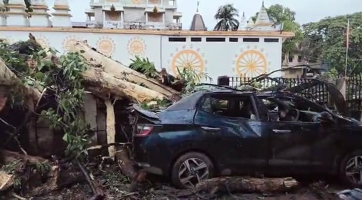 ইফালে কৃত্ৰিম বানৰ মাজতে নৱগ্ৰহ শ্মশানত লাগি থকা প্ৰকাণ্ড গছ উভালি পৰে। এখন চাৰিচকীয়া বাহনৰ ওপৰত বাগৰি পৰে গছডাল।