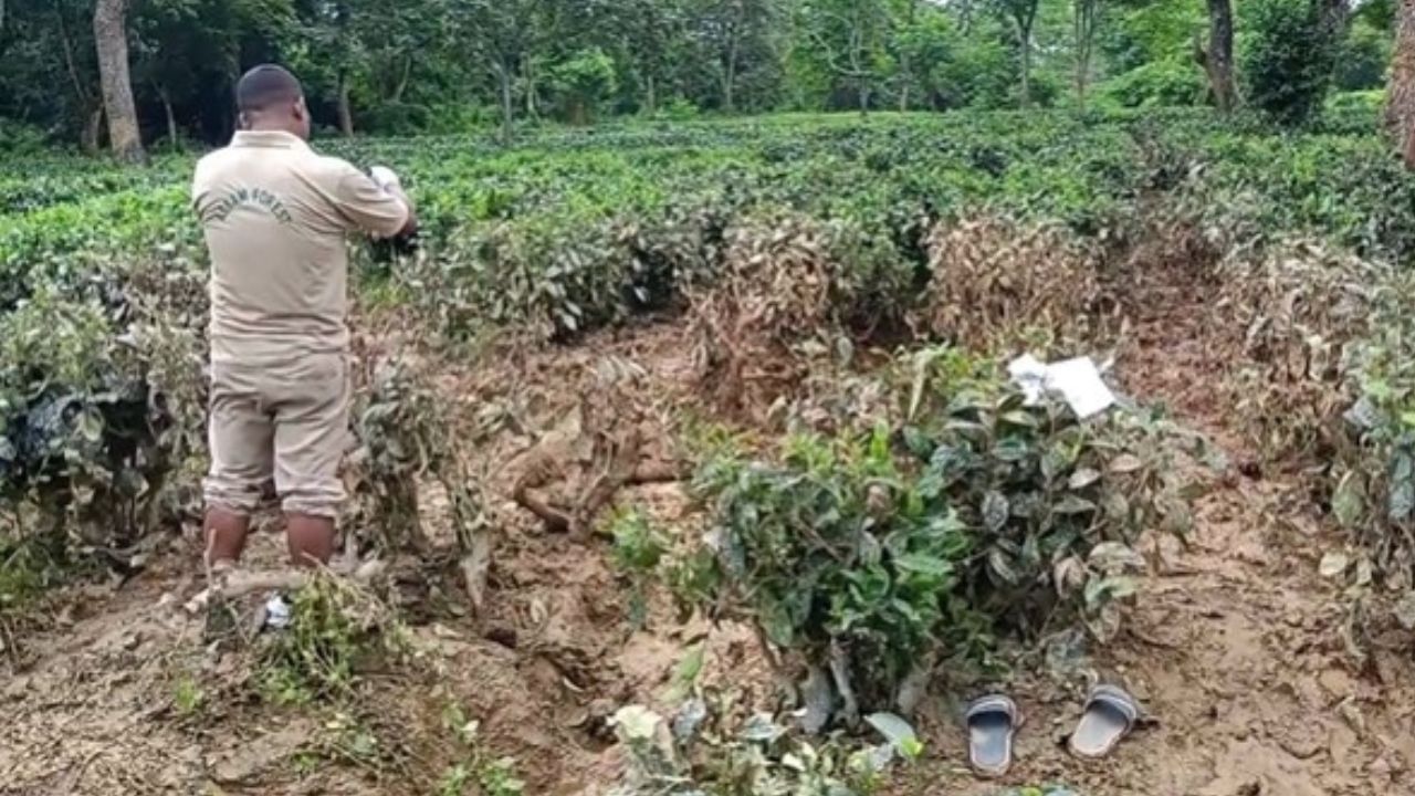 এটা বিশেষ দৃশ্য। যিটো চালে হয়তো আপোনাৰো চকু পানী ওলাব। তিনিদিন ধৰি নলাৰ বোকা আৱদ্ধ এটি কণমানি হাতী পোৱালী।