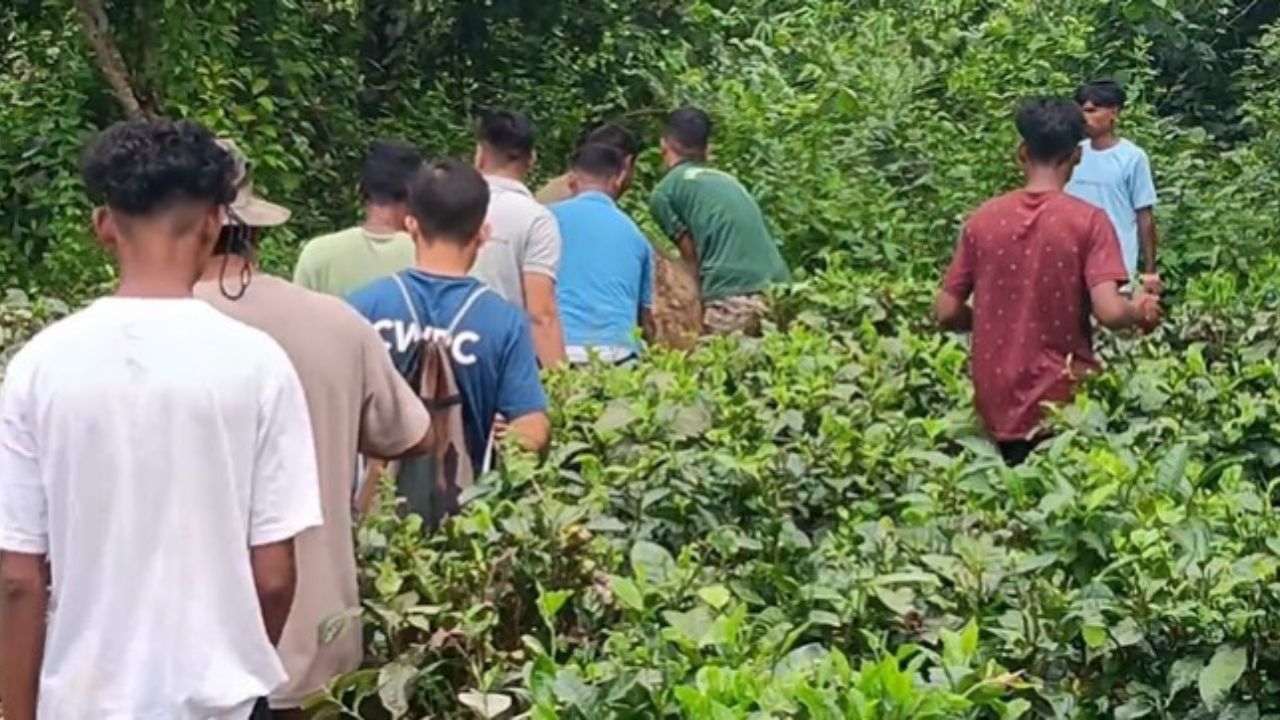 তাৰ পিছত শ্ৰমিকজনে এই কথা ডিগবৈ বন বিভাগক অৱগত কৰে। ডিগবৈ বগাপানী চাহ বাগিচাৰ চেকশ্যন ৪ত বাগানৰ নলাত আৱদ্ধ হৈ পৰিছিল প্ৰায় দুমহীয়া হাতী পোৱালীটো ।