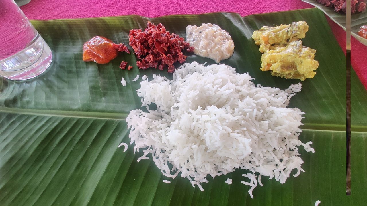 দুপৰীয়া নে ৰাতি ! ভাত খোৱাৰ সঠিক সময় কেতিয়া? বিশেষজ্ঞৰ পৰা জানক দুপৰীয়া নে ৰাতি ! ভাত খোৱাৰ সঠিক সময় কেতিয়া? বিশেষজ্ঞৰ পৰা জানক