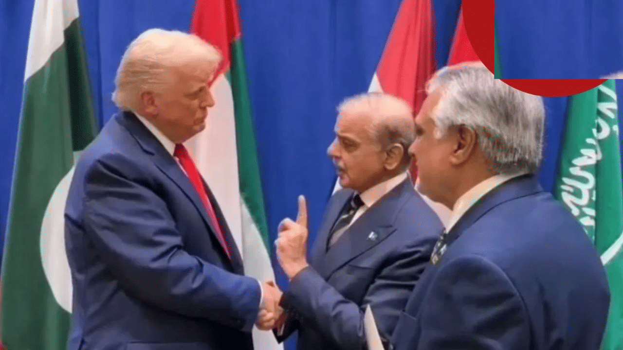 কাষ চাপিছে আমেৰিকা-পাকিস্তান! কাইলৈ ৱাশ্বিংটনত ট্ৰাম্প আৰু শ্বেহবাজ শ্বৰীফৰ বৈঠক... কাষ চাপিছে আমেৰিকা-পাকিস্তান! কাইলৈ ৱাশ্বিংটনত ট্ৰাম্প আৰু শ্বেহবাজ শ্বৰীফৰ বৈঠক...